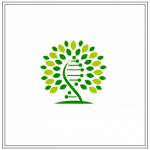 31 150x150 - Logo design